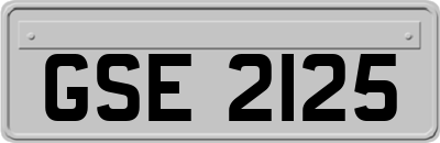 GSE2125