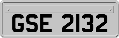 GSE2132