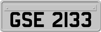 GSE2133