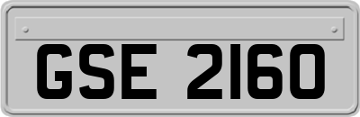 GSE2160