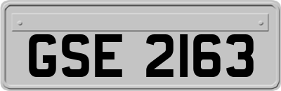 GSE2163