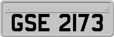 GSE2173