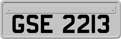 GSE2213