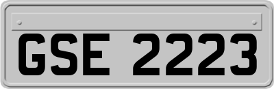 GSE2223