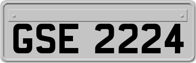 GSE2224