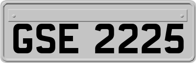 GSE2225