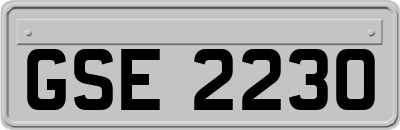 GSE2230