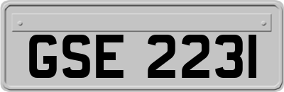 GSE2231