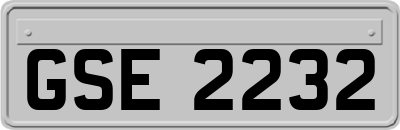 GSE2232