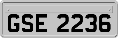 GSE2236