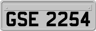 GSE2254