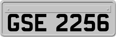 GSE2256