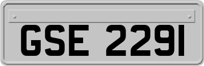 GSE2291
