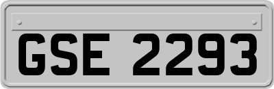 GSE2293