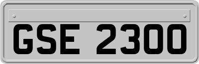 GSE2300