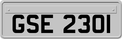 GSE2301