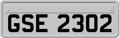 GSE2302