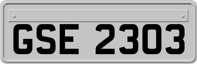 GSE2303