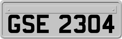 GSE2304