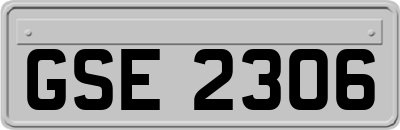 GSE2306