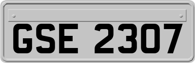 GSE2307