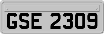 GSE2309