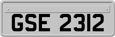 GSE2312