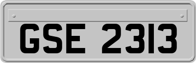 GSE2313