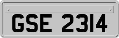 GSE2314