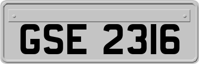 GSE2316