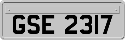GSE2317
