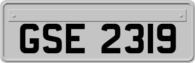 GSE2319