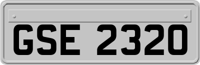 GSE2320