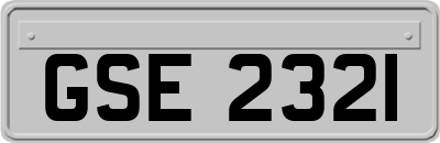 GSE2321