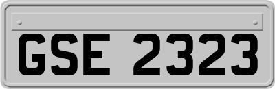 GSE2323