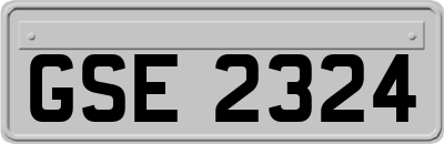 GSE2324