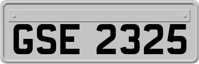 GSE2325