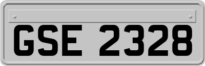 GSE2328
