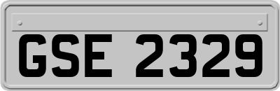 GSE2329