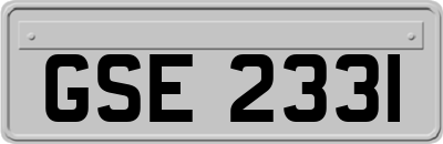 GSE2331