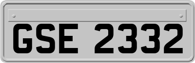 GSE2332