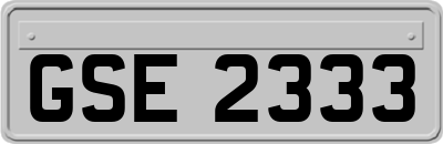 GSE2333