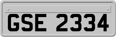 GSE2334