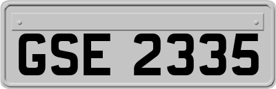 GSE2335