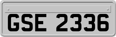 GSE2336