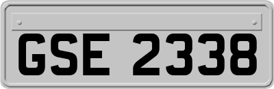 GSE2338