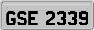 GSE2339