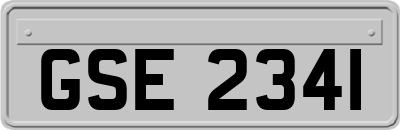 GSE2341