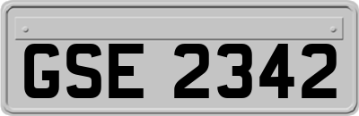 GSE2342