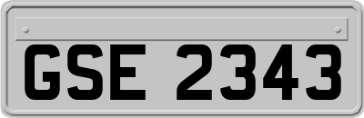 GSE2343